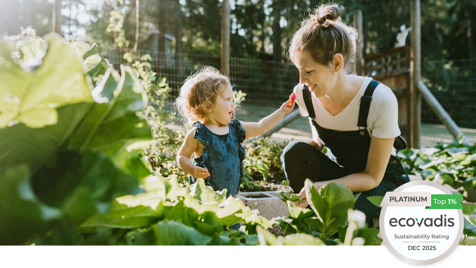 Building Sustainable Solutions Through Bio-Based Technologies