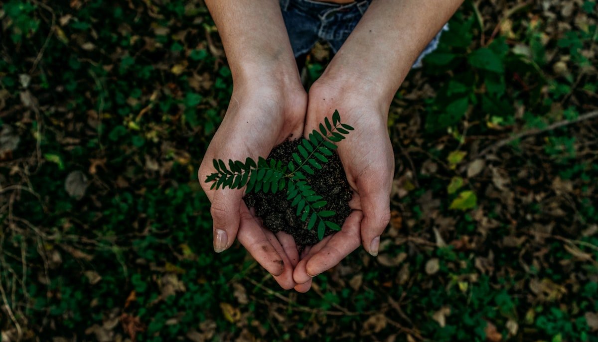 Environmental responsibility